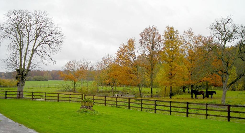 Ferme D'Orsonville Villiers-en-Bière Exteriér fotografie
